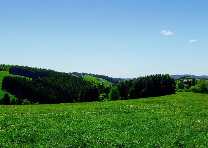 Ferienhauspark Tatil Evi Hasselfelde