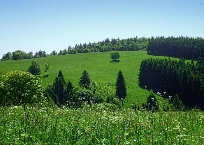 Tatil Evi Ferienhauspark Hasselfelde