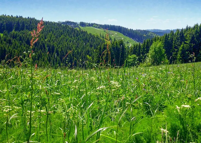 Ferienhauspark Hasselfelde