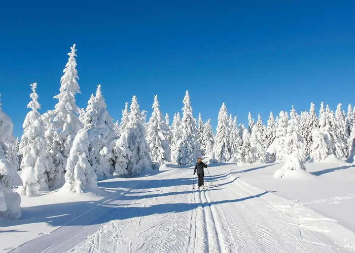Ferienhauspark Tatil Evi Hasselfelde